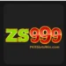 ZS999 Game