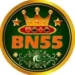 BN55 Game