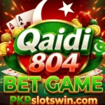 Qaidi804 Bet Game