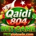Qaidi804 Bet Game